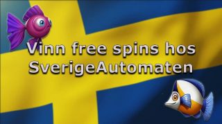 Här kan du se hur just du kan vinna free spins